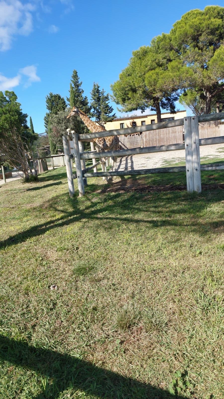 Sortie au Zoo Barben